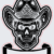 Cowboy Skull